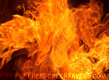 Fire screensavers nfsFireFlash